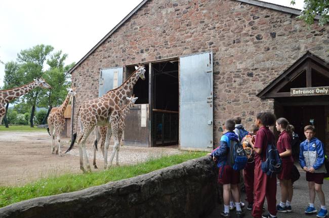 Y7 Chester Zoo Visit Photo 1