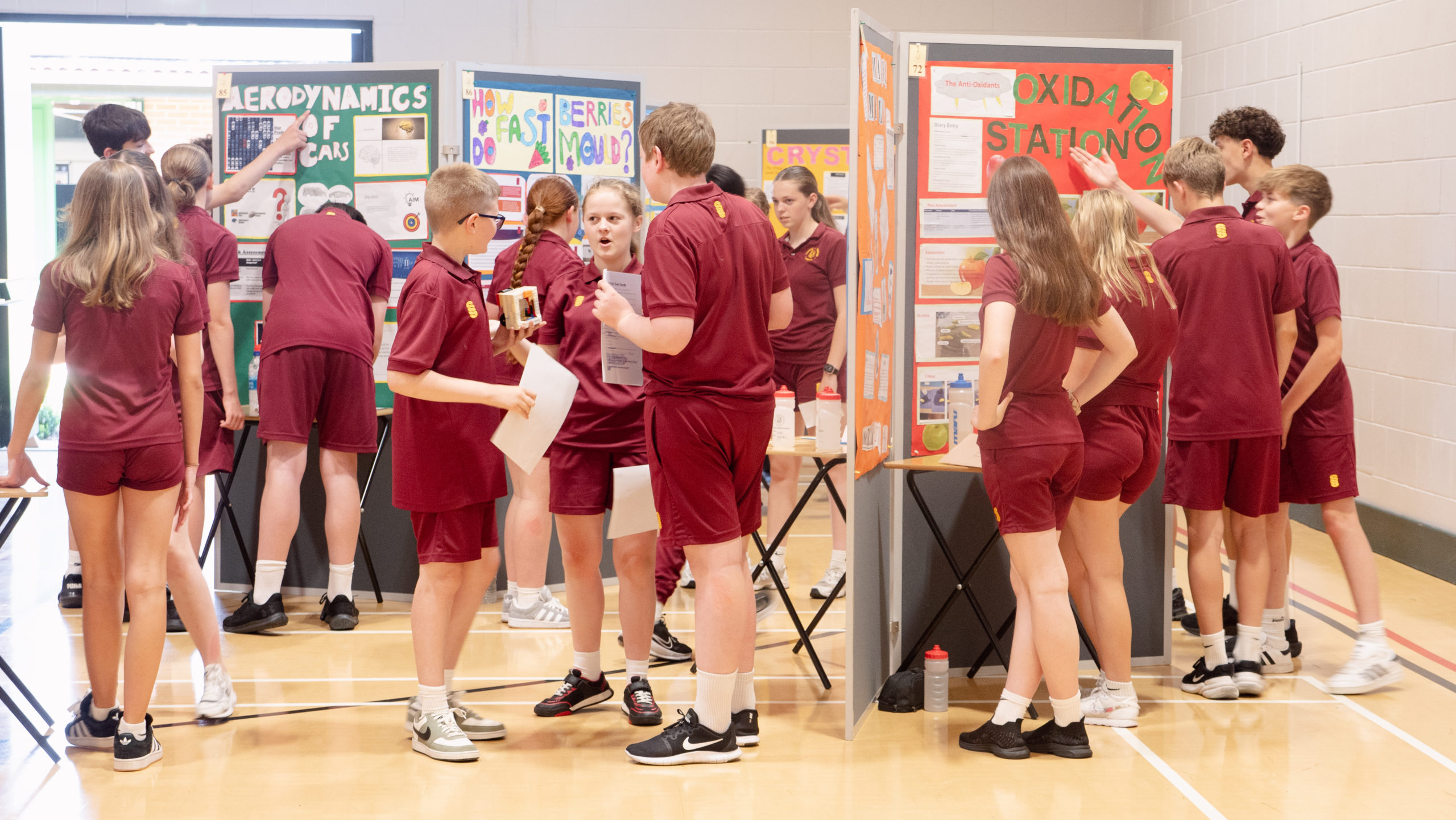 Curriculum News
